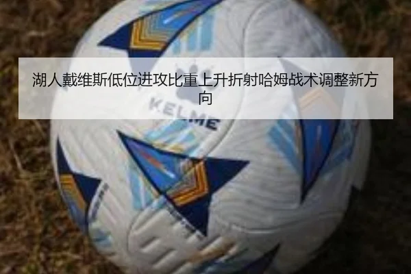 湖人戴维斯低位进攻比重上升折射哈姆战术调整新方向