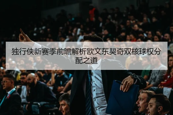 独行侠新赛季前瞻解析欧文东契奇双核球权分配之道