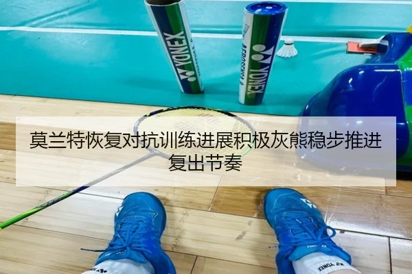 莫兰特恢复对抗训练进展积极灰熊稳步推进复出节奏